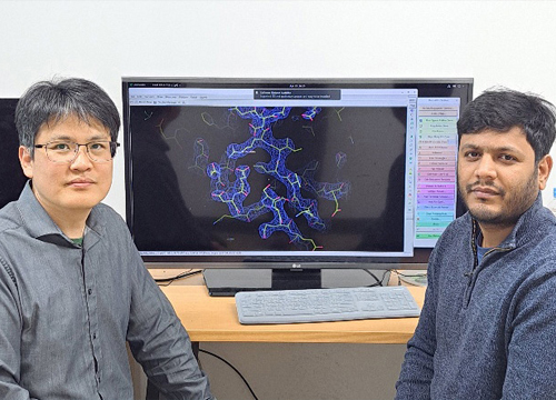 Professor KIM Dong-young's research team of YU Department of Pharmacy identified the structure of protein-arginine phosp